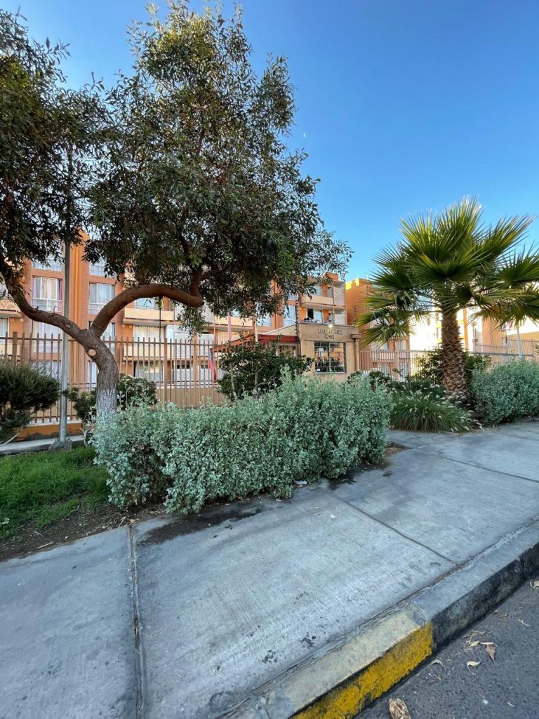 Departamento, Edificio Domeyko, Sector Sur