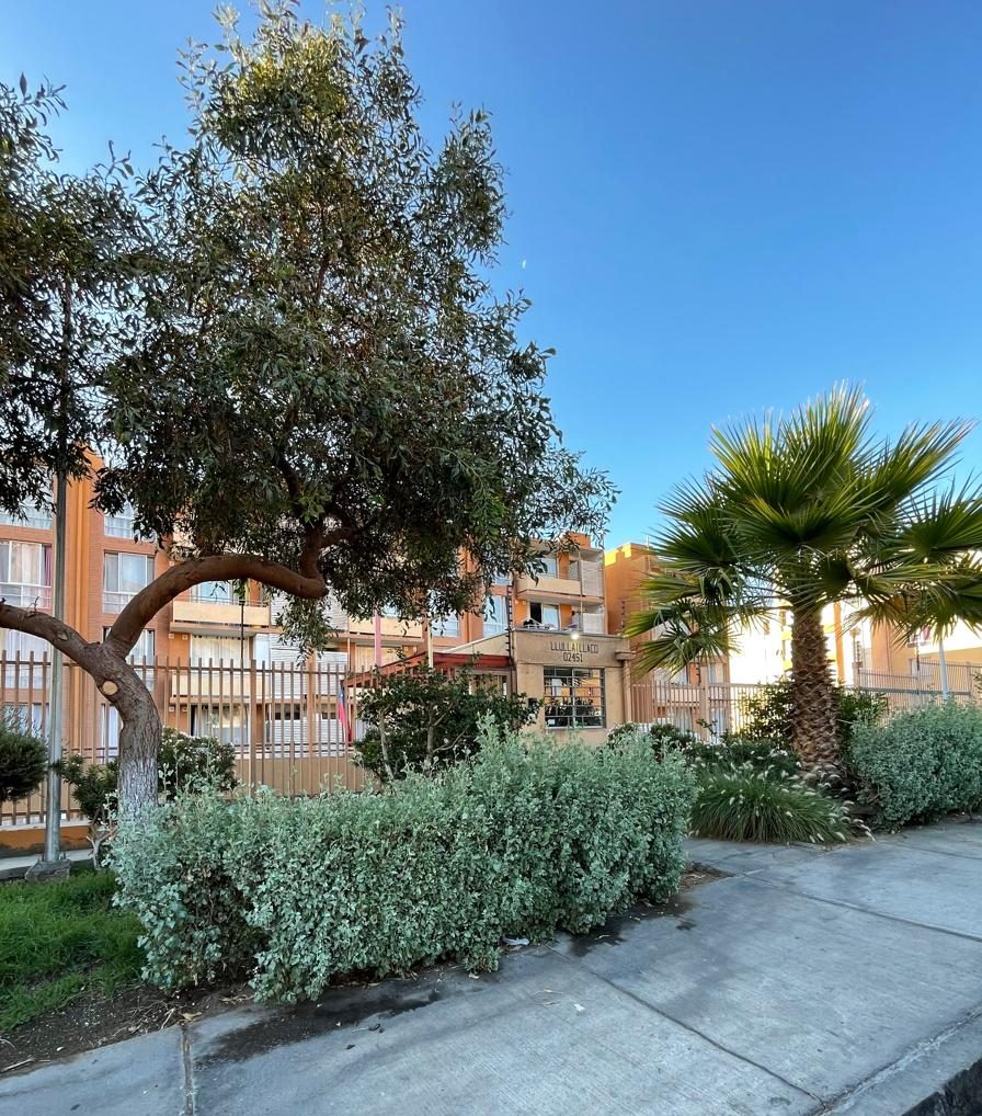 Departamento, Edificio Domeyko, Sector Sur